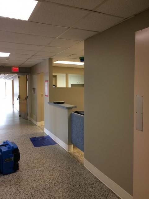 Completed -Commercial Paint !!